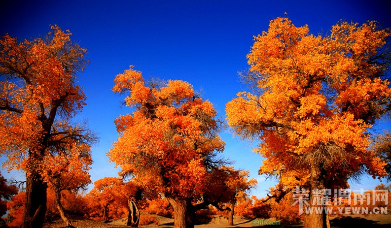 μ�ϡ�����ͬ�л��⡿���������7��֮��9��21�տ�ʼ����������