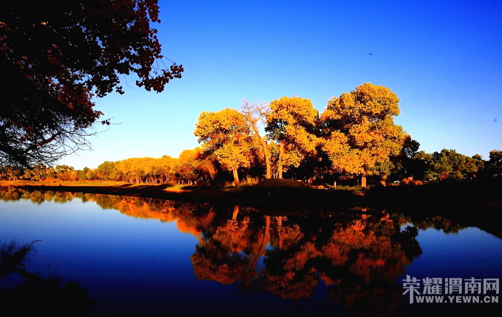 μ�ϡ�����ͬ�л��⡿���������7��֮��9��21�տ�ʼ����������