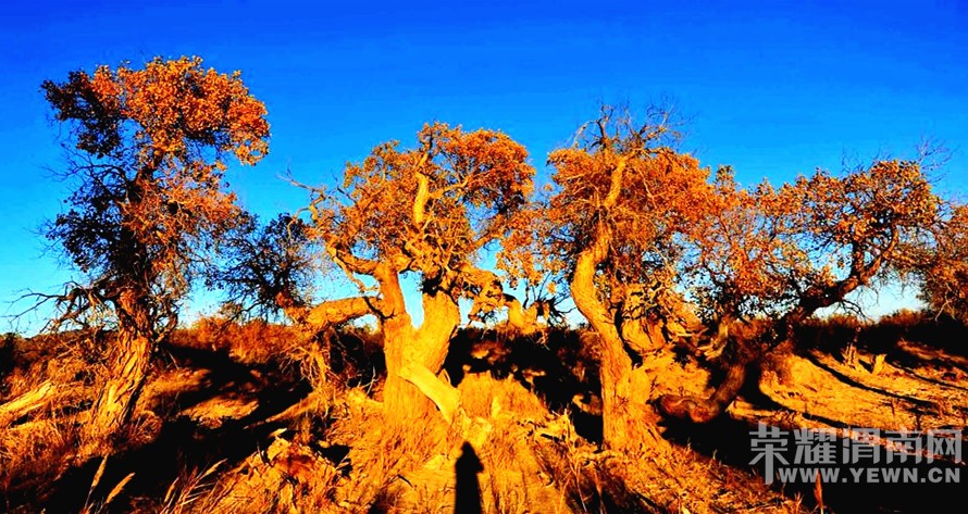 μ�ϡ�����ͬ�л��⡿���������7��֮��9��21�տ�ʼ����������