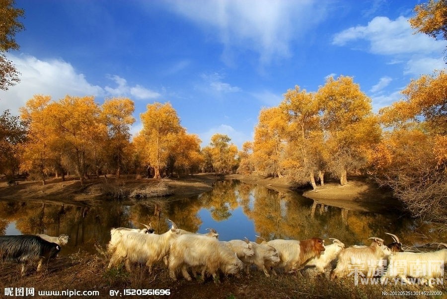 μ�ϡ�����ͬ�л��⡿���������7��֮��9��21�տ�ʼ����������