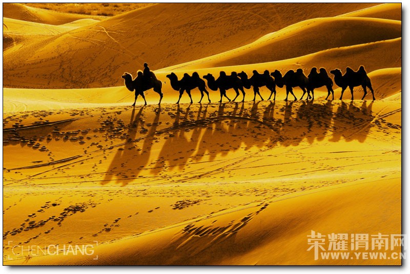 μ�ϡ�����ͬ�л��⡿���������7��֮��9��21�տ�ʼ����������