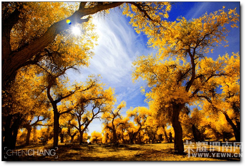 μ�ϡ�����ͬ�л��⡿���������7��֮��9��21�տ�ʼ����������