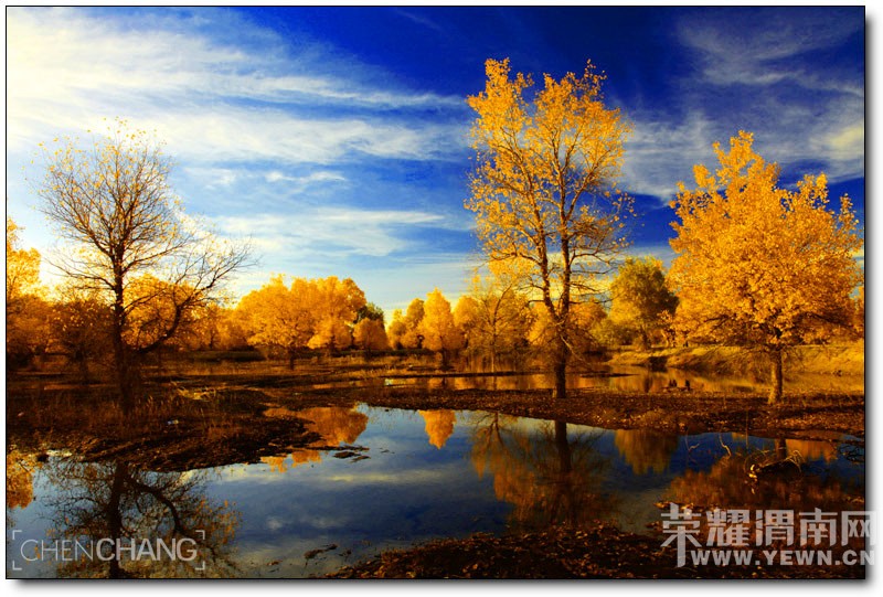 μ�ϡ�����ͬ�л��⡿���������7��֮��9��21�տ�ʼ����������