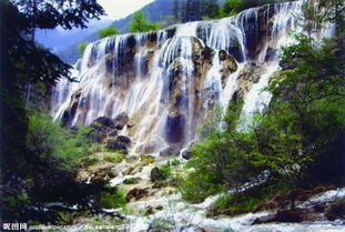 ��μ�ϸ�̽�Ż��⡿8��27-30��կ�����߲ʻ�������ľ�����վ�����