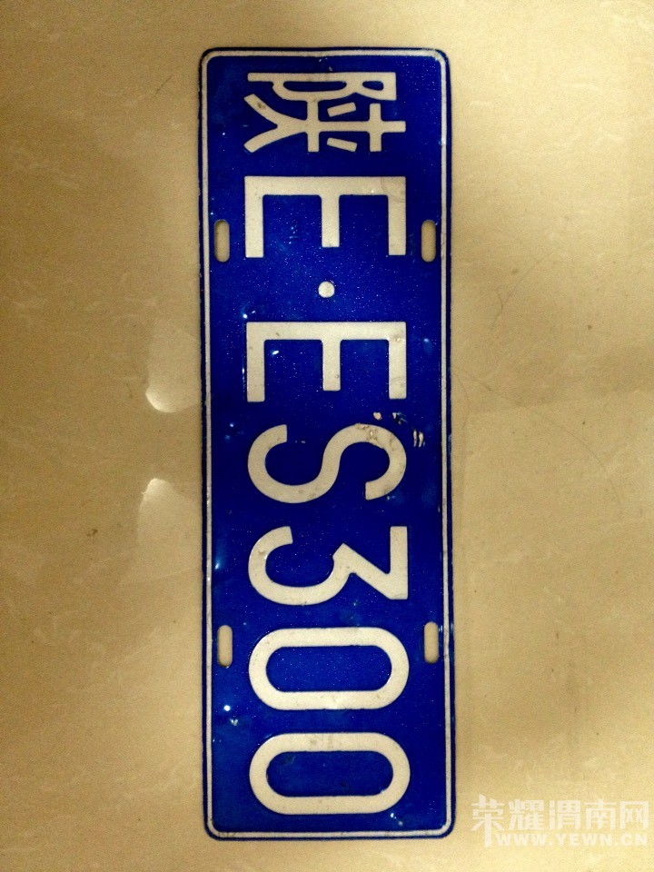 EES300 ĳƣ