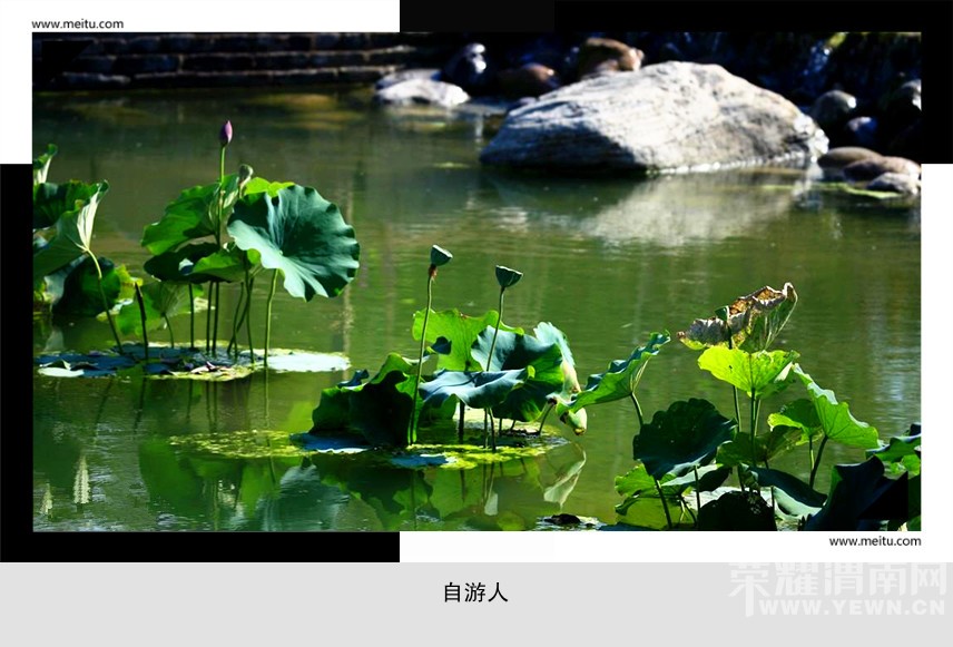 �������ˡ�8.29�����ڡ���������㡣����������һ����