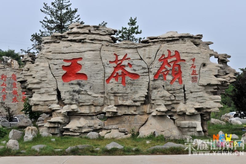 ��μ�ϸ�̽�Ż��⡿9��3-5�պ�ɫ������ç������¹�����Ϲ������������� 