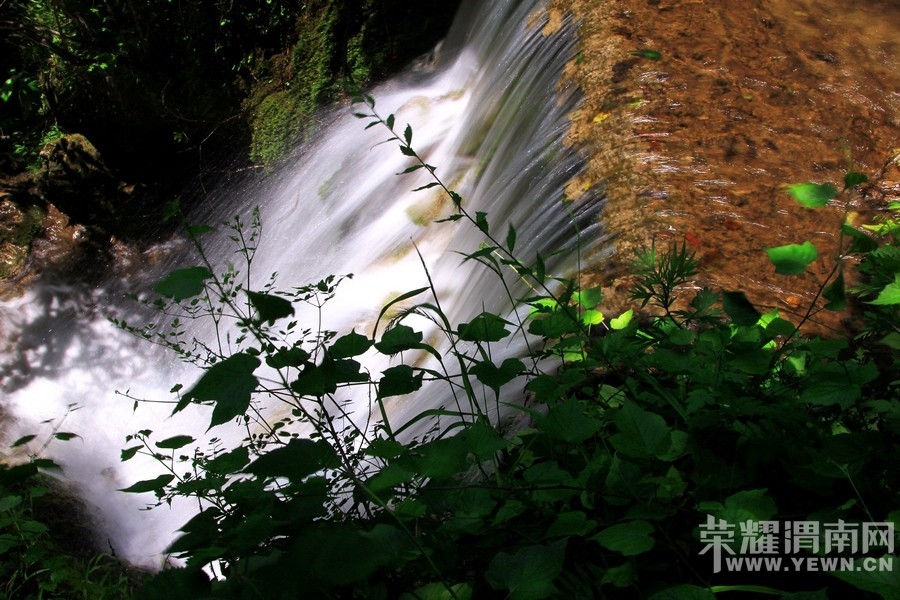 ��μ���߲ʻ��⡿�ػ�8��29-30�պ�����������������AAAA��̶�������������298