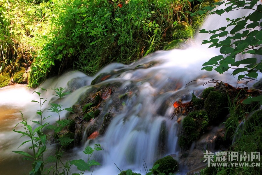 ��μ���߲ʻ��⡿�ػ�8��29-30�պ�����������������AAAA��̶�������������298