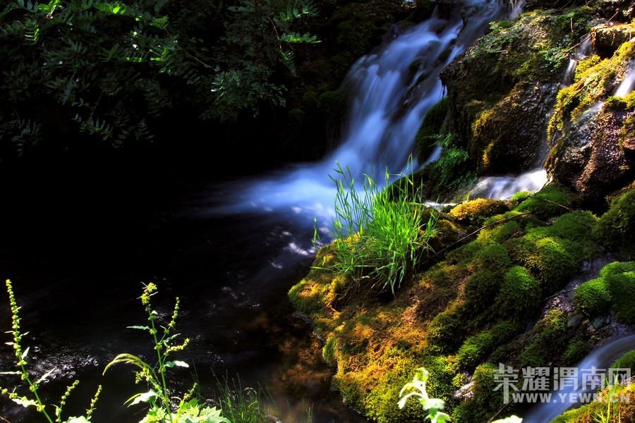 ��μ���߲ʻ��⡿�ػ�8��29-30�պ�����������������AAAA��̶�������������298