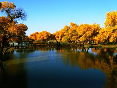 ����Խ���롿������������μ��վ������2015����ɺ����־���������