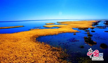 ����Խ���롿������������μ��վ������2015����ɺ����־���������