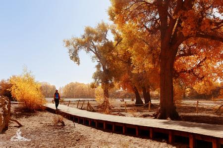 ����Խ���롿������������μ��վ������2015����ɺ����־���������