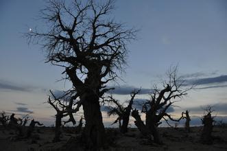 ����Խ���롿������������μ��վ������2015����ɺ����־���������