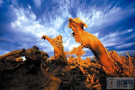 ����Խ���롿������������μ��վ������2015����ɺ����־���������