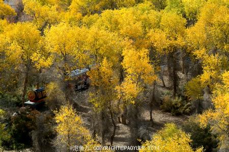 ����Խ���롿������������μ��վ������2015����ɺ����־���������