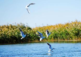 ����Խ���롿������������μ��վ������2015����ɺ����־���������