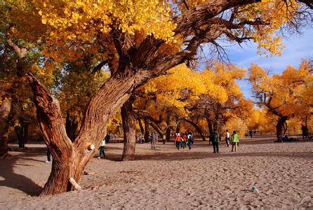 ����Խ���롿������������μ��վ������2015����ɺ����־���������