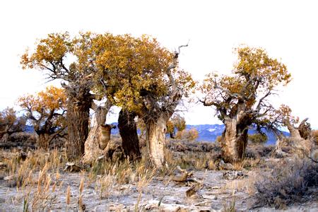 ����Խ���롿������������μ��վ������2015����ɺ����־���������