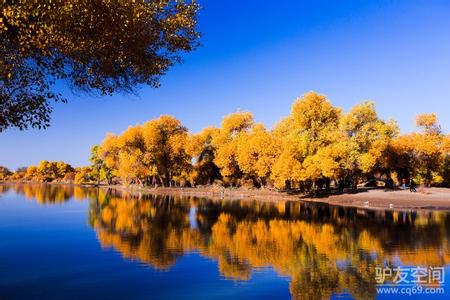 ����Խ���롿������������μ��վ������2015����ɺ����־���������