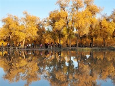 ����Խ���롿������������μ��վ������2015����ɺ����־���������