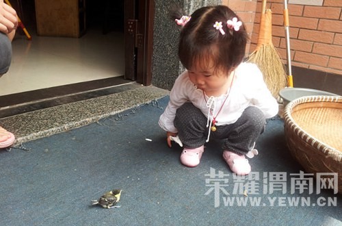 �Ҽ�椺�С��ȸ�����~~~