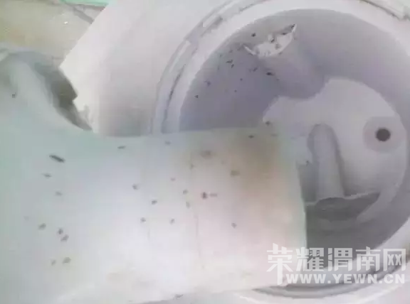 ע�⣺��ˮ����Ȼ��ô�࣡�����ϴ�����ܹ���