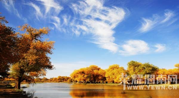 ��μ�ϸ�̽�Ż��⡿��������������������ཻ���Ųʡ����ɶ���ɺ�����