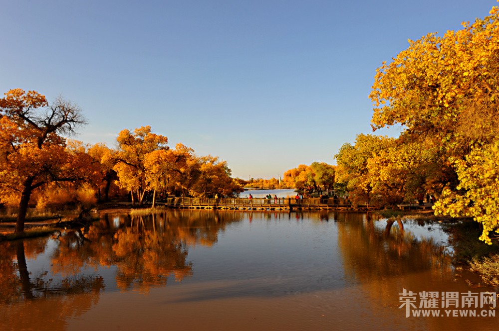 ��μ�ϸ�̽�Ż��⡿��������������������ཻ���Ųʡ����ɶ���ɺ�����