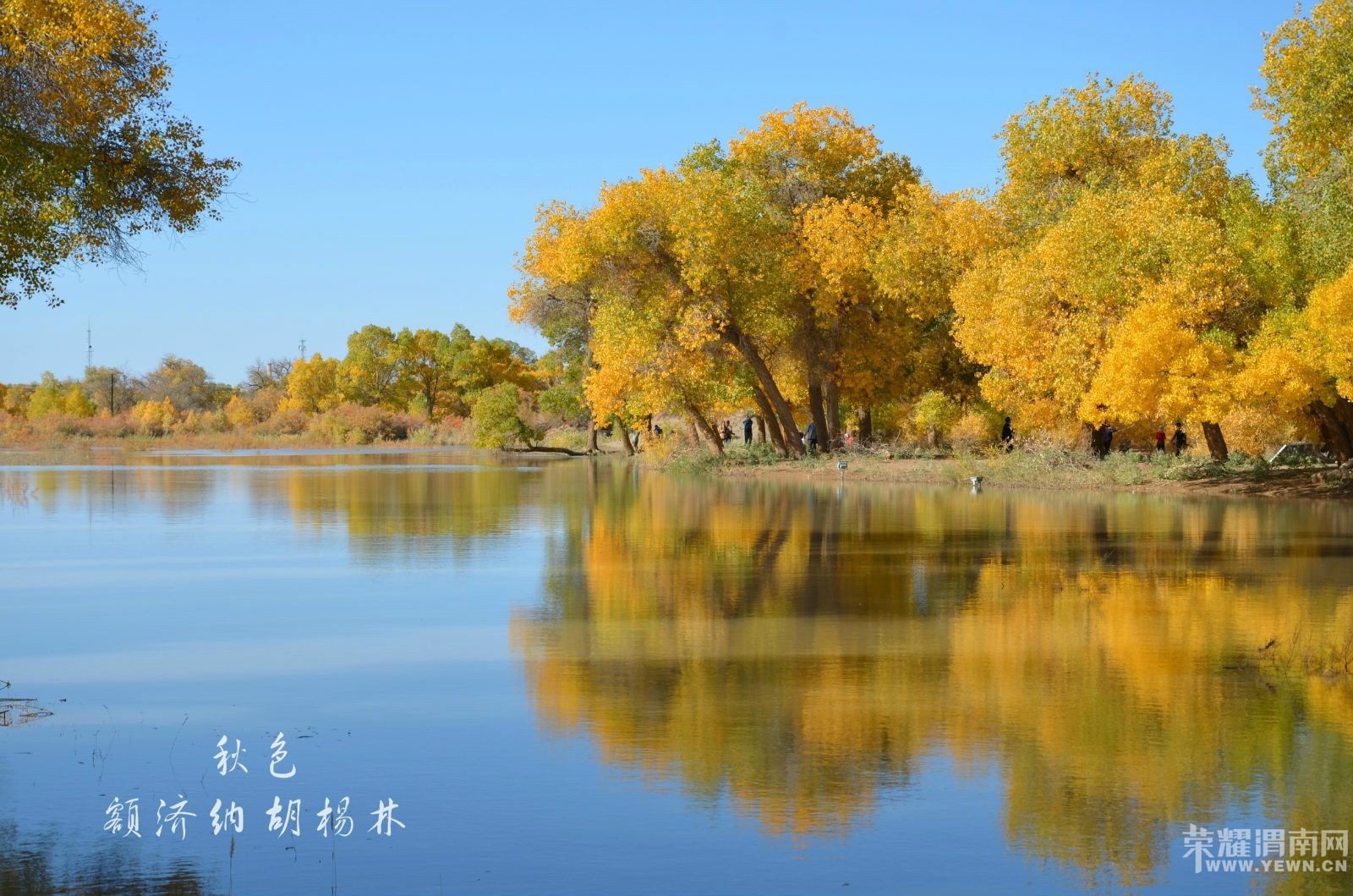 ��μ�ϸ�̽�Ż��⡿��������������������ཻ���Ųʡ����ɶ���ɺ�����