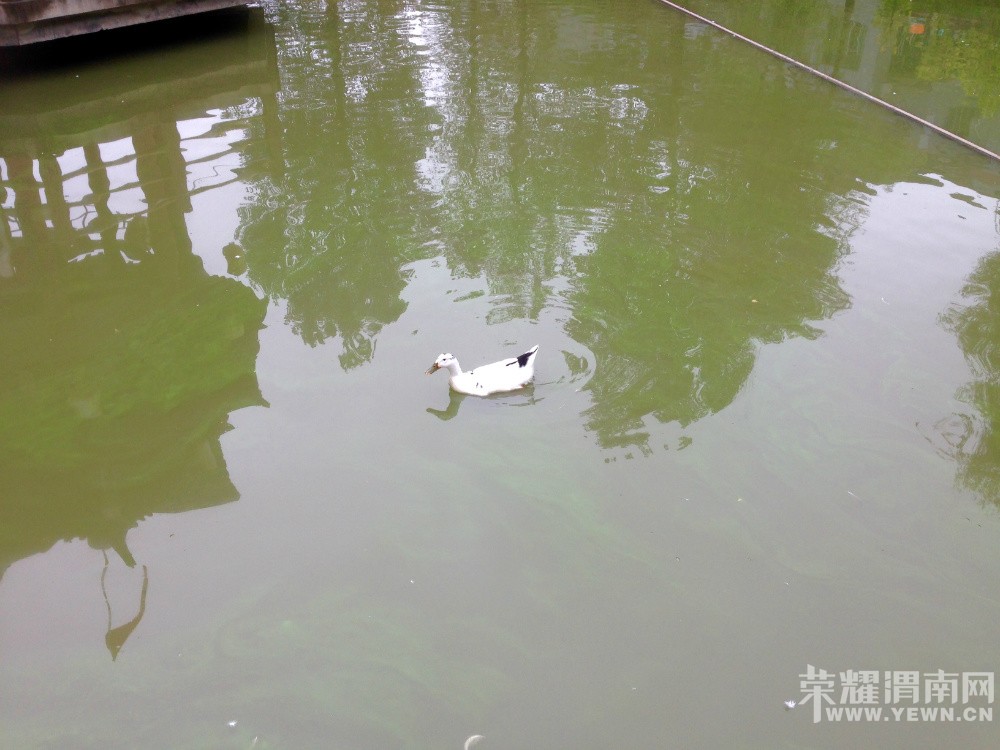Ȫ纮