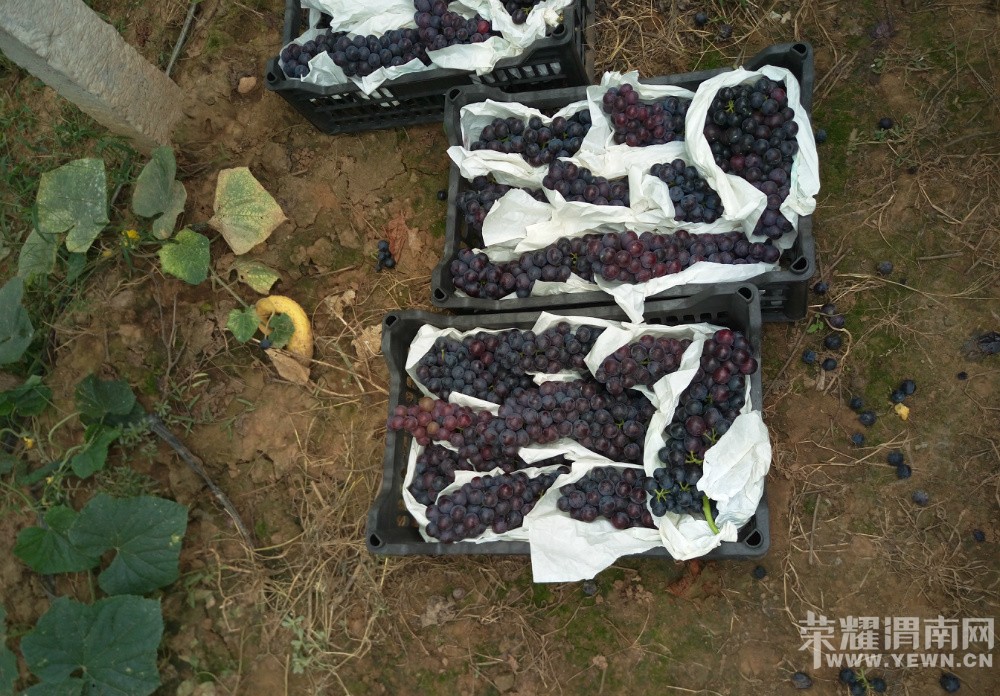 μ������μ��9��3�ŷ���5000�����ѣ��Ǹ����̺ڰ���