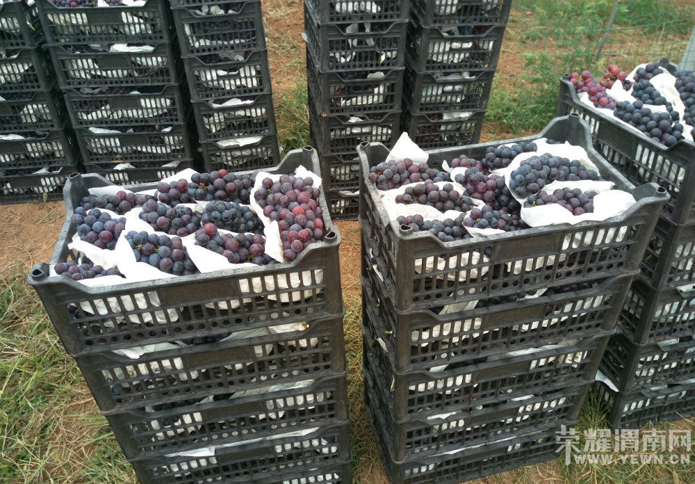 μ������μ��9��3�ŷ���5000�����ѣ��Ǹ����̺ڰ���