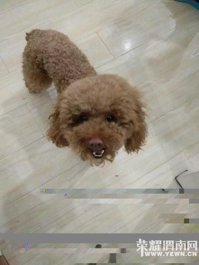 ����ת����������Щ�����ɰ���С�����ǻؼ�~����������