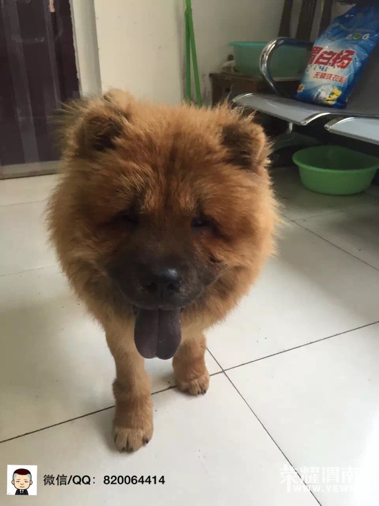 ����ת����������Щ�����ɰ���С�����ǻؼ�~����������