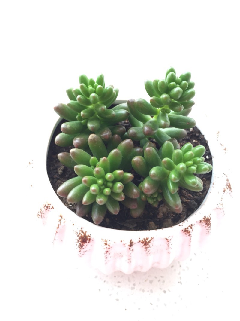 �����Ҽҵ�С���⣬��ľ�к�Ư���أ�