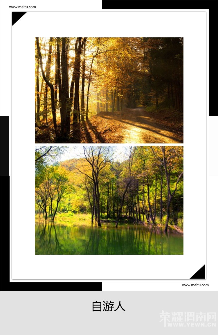 �������ˡ�9.19����������ɭ�ֹ�԰������Ʊһ����