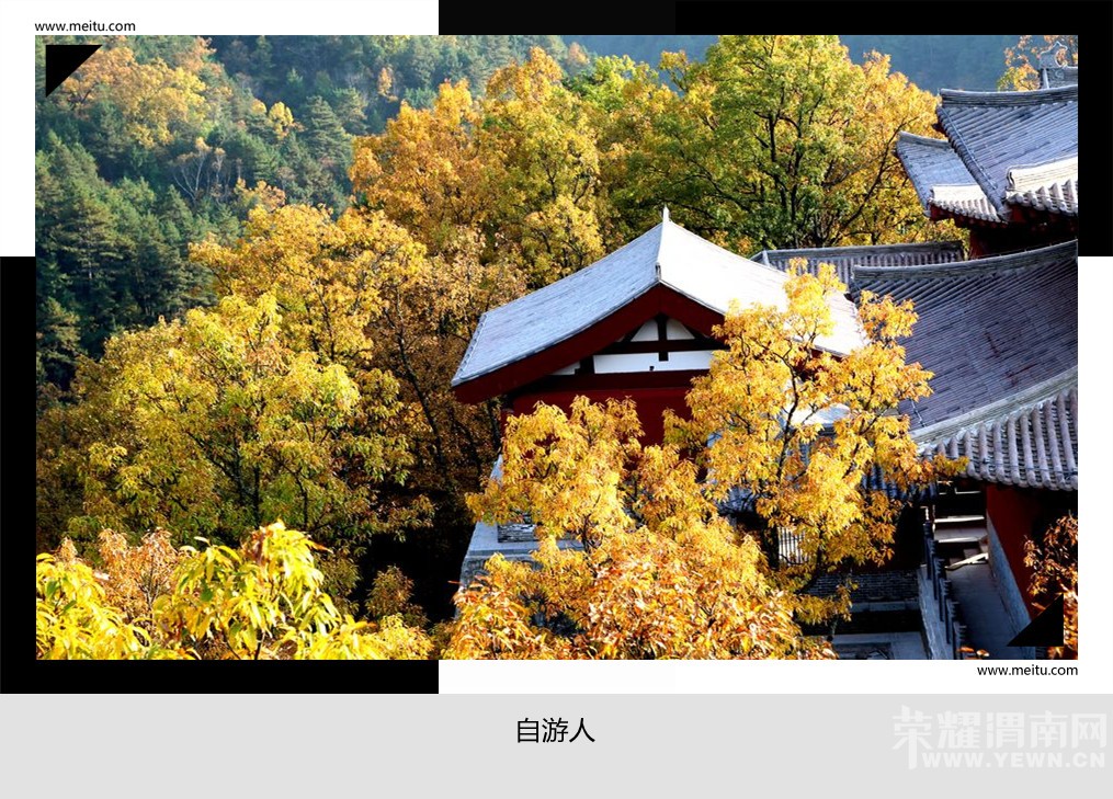 �������ˡ�9.19����������ɭ�ֹ�԰������Ʊһ����