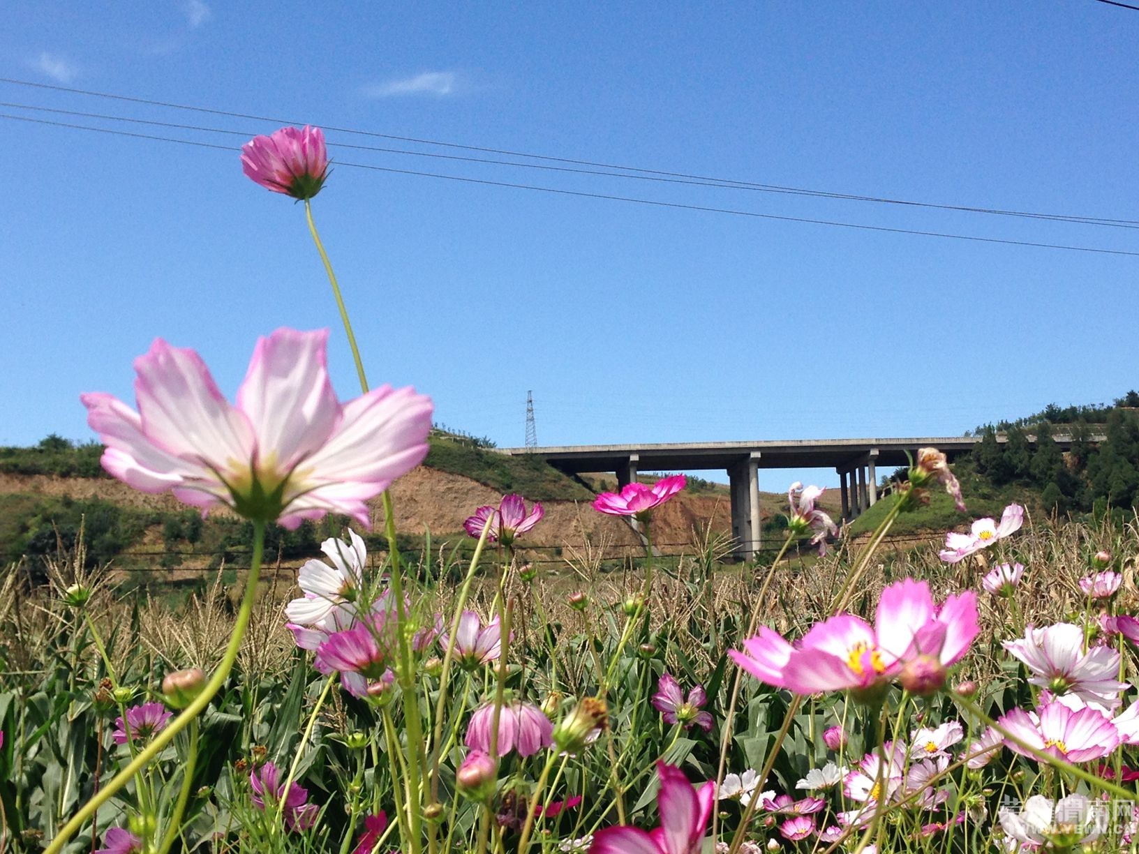 ܫ�Ϸ�����޺ã��������ܡ���