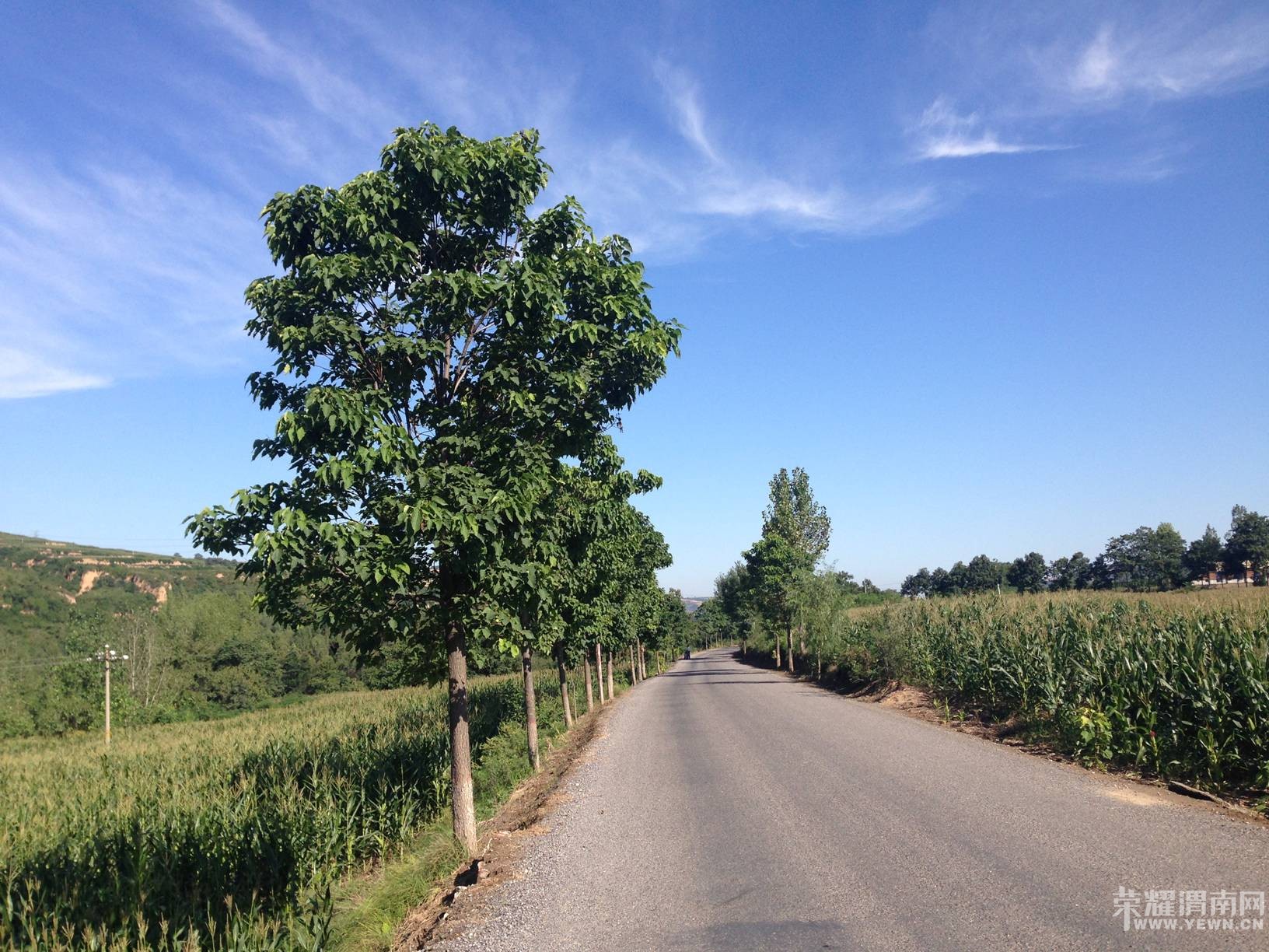 ܫ�Ϸ�����޺ã��������ܡ���