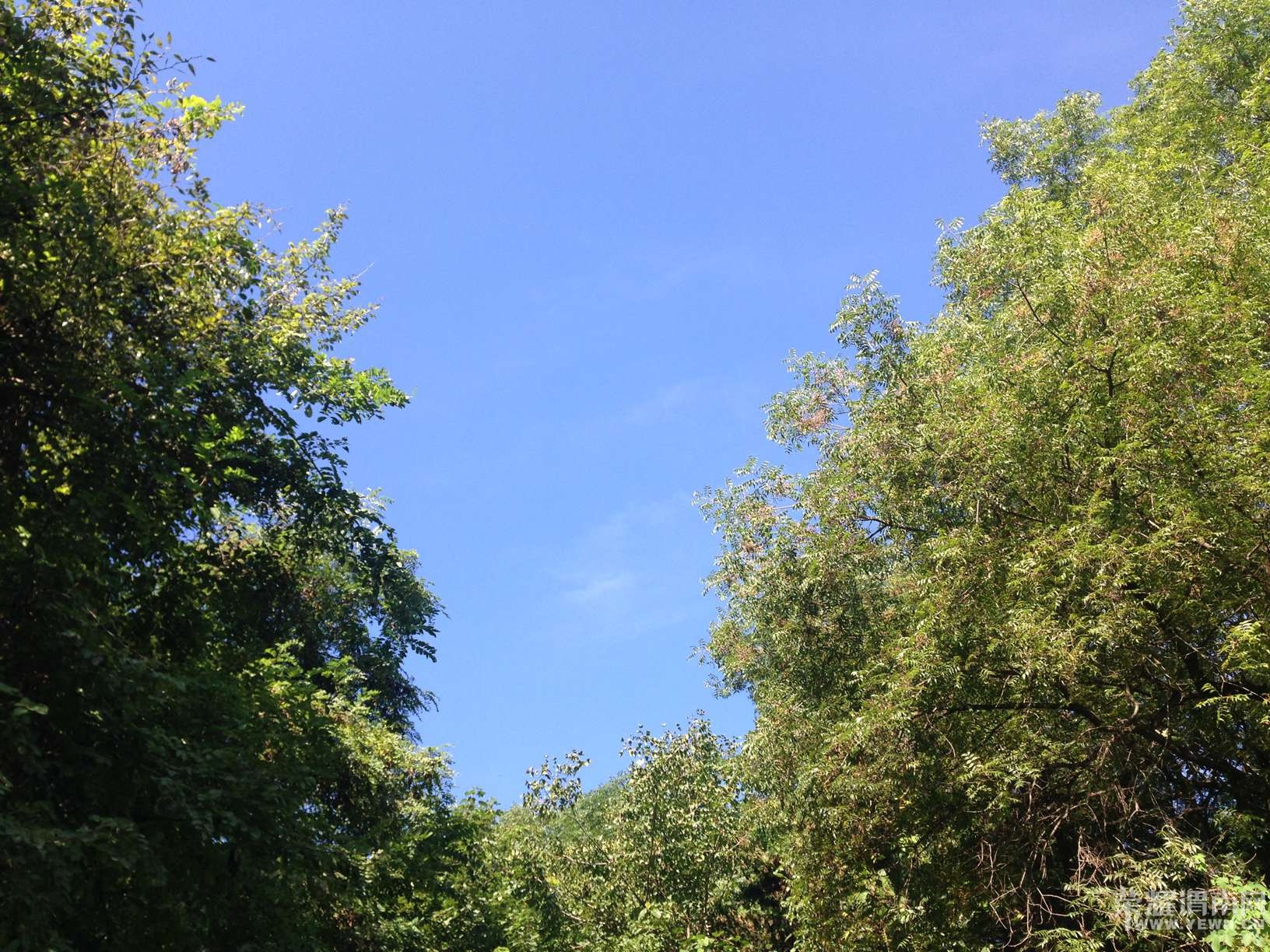 ܫ�Ϸ�����޺ã��������ܡ���