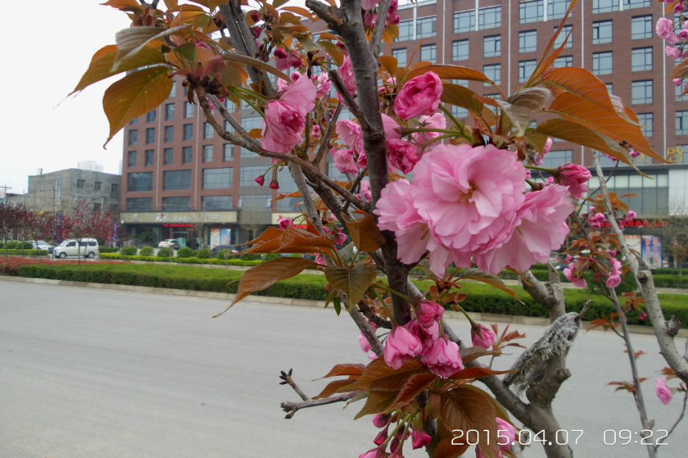 �����ֵ�����·�ڵ�ӣ��