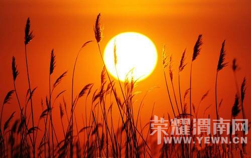 140208raset8v7znn2q4ne.jpg