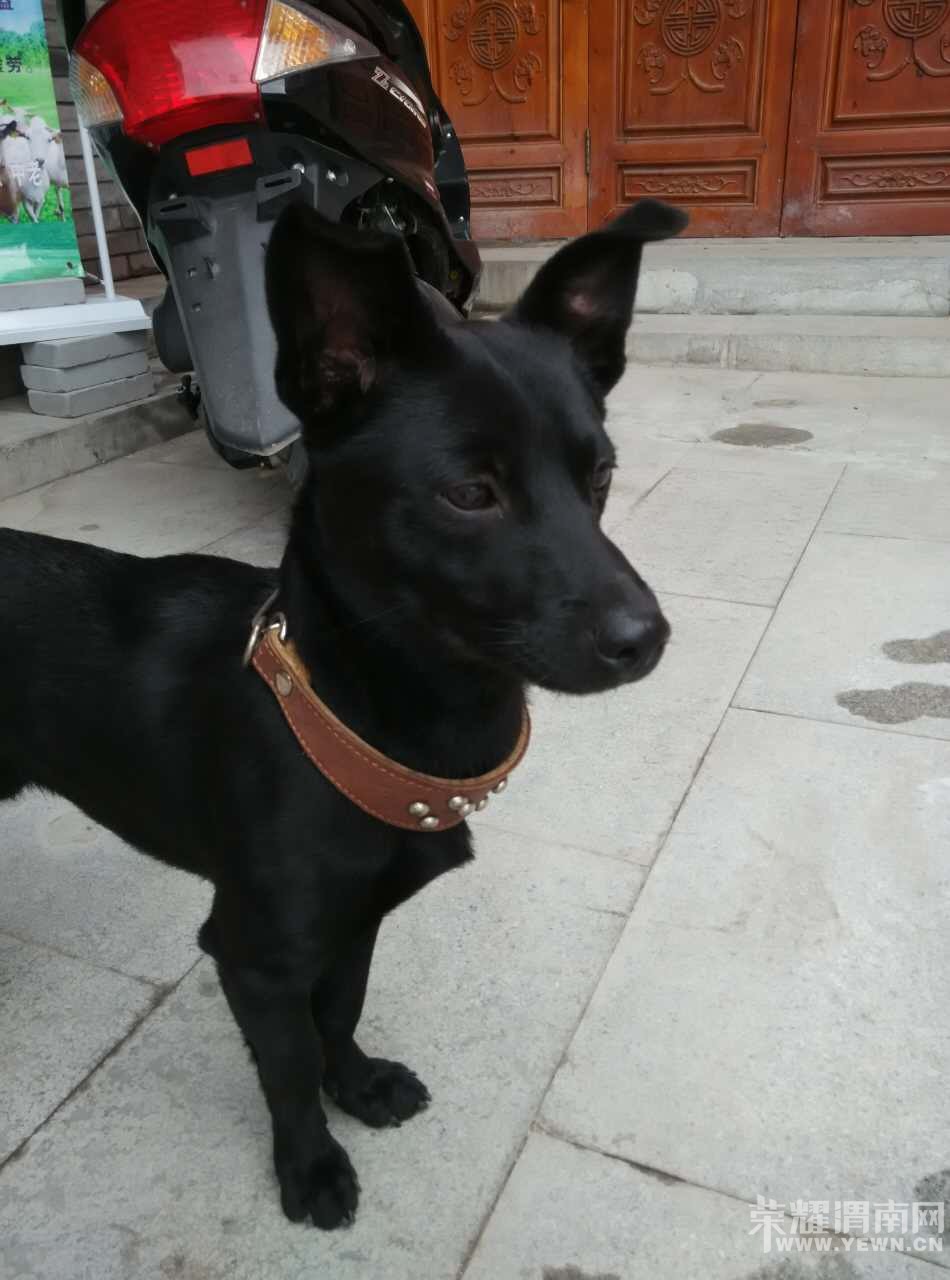 Ѱ�Һ�ľľ��������лл��ҵ�ת����ע��17�����������Ѿ��ҵ�ľľ������ұ���ϲ����