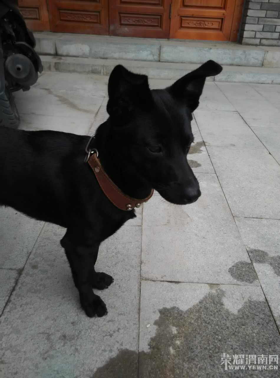 Ѱ�Һ�ľľ��������лл��ҵ�ת����ע��17�����������Ѿ��ҵ�ľľ������ұ���ϲ����