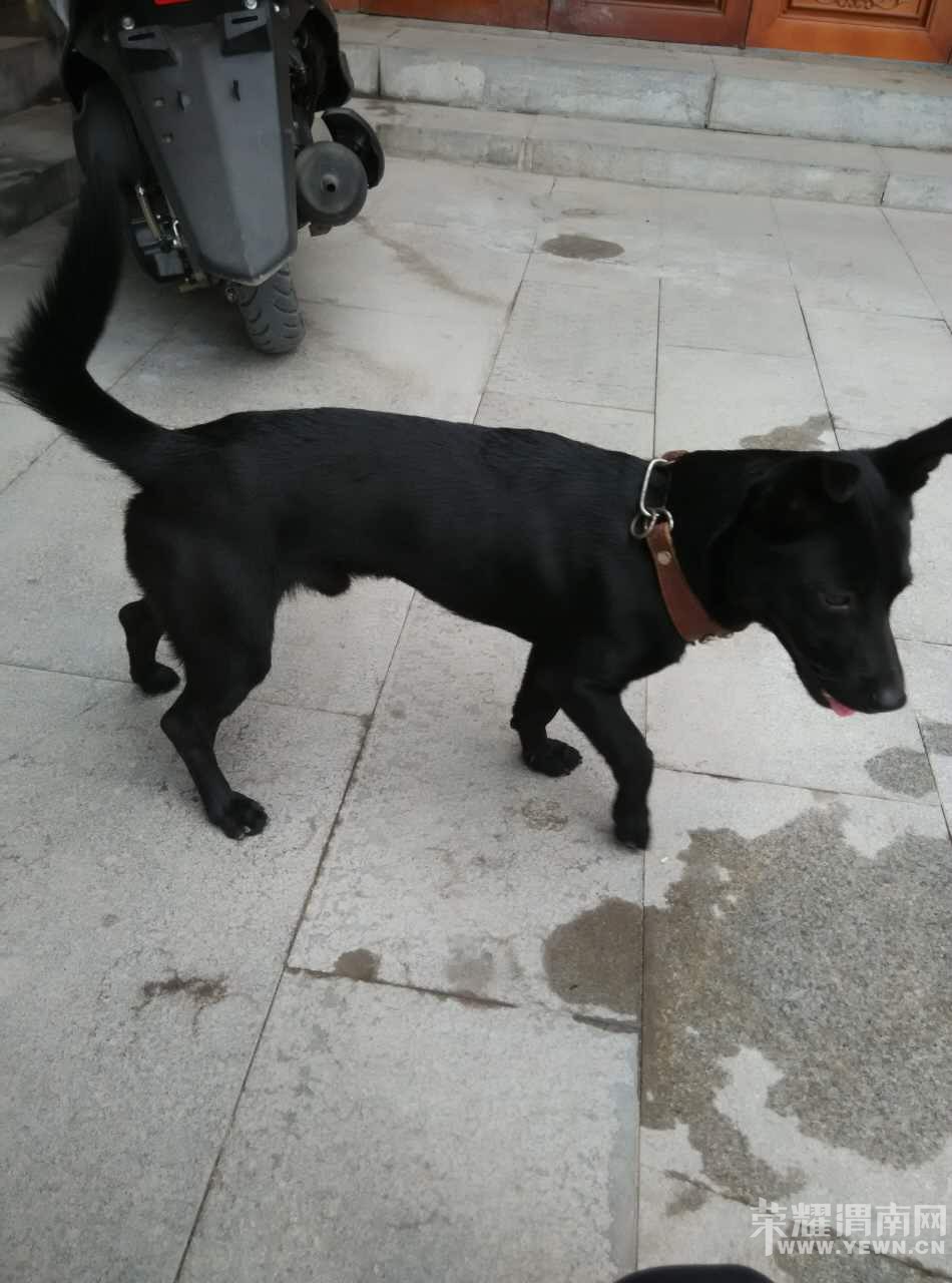 Ѱ�Һ�ľľ��������лл��ҵ�ת����ע��17�����������Ѿ��ҵ�ľľ������ұ���ϲ����