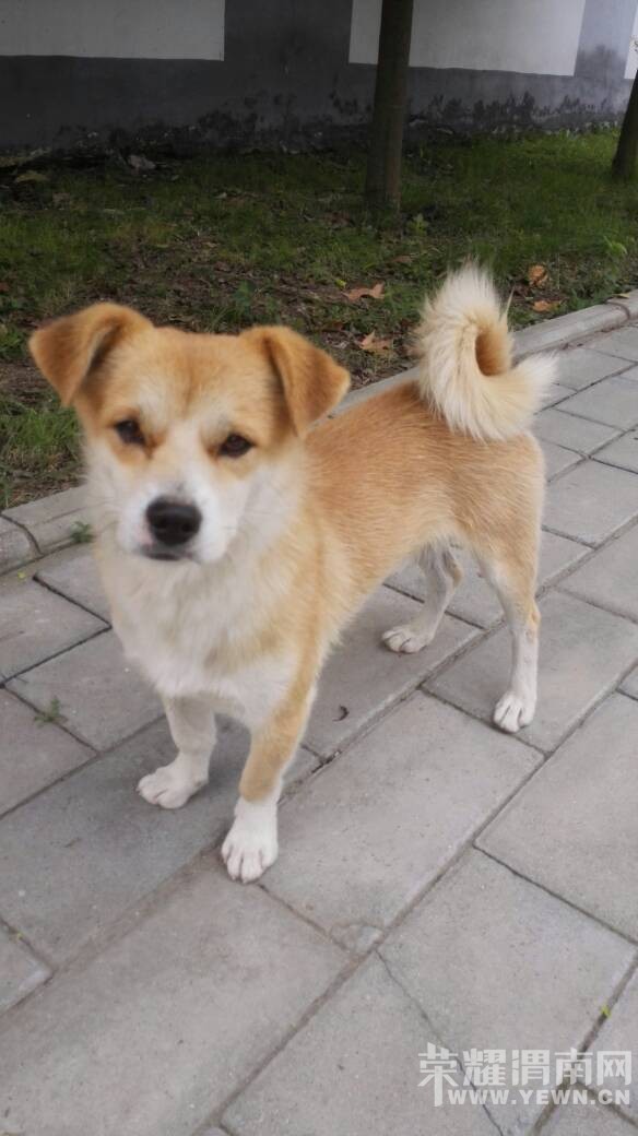 ���˹�һö������������˵����Ҫ����������