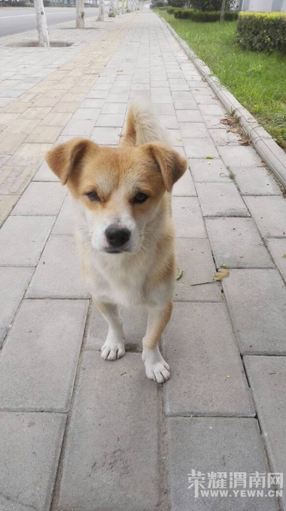 ���˹�һö������������˵����Ҫ����������