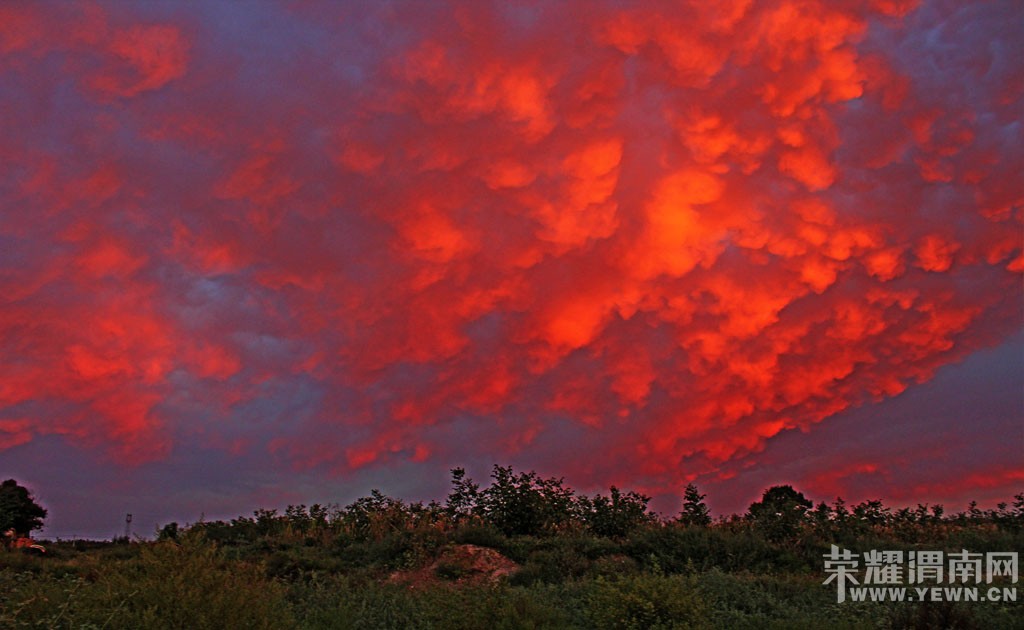 ����Ļ�����