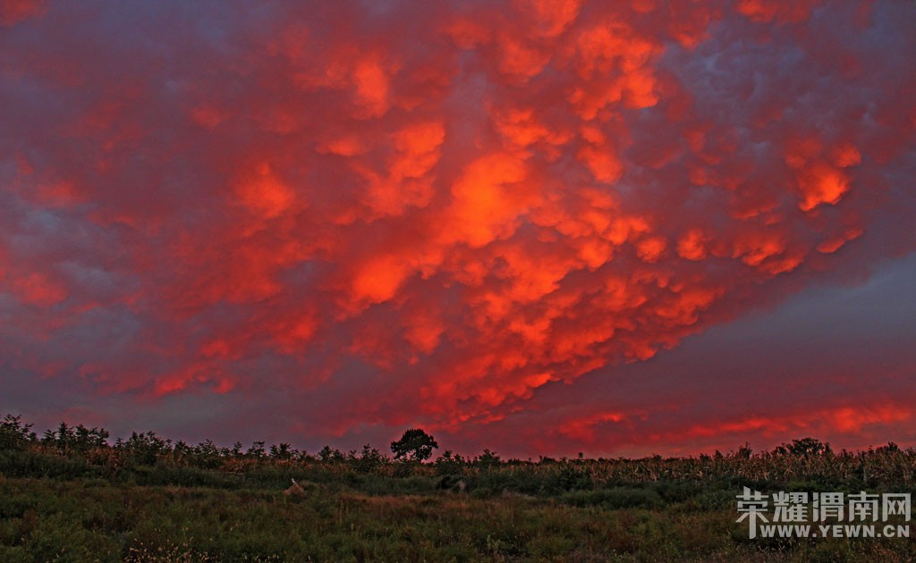 ����Ļ�����